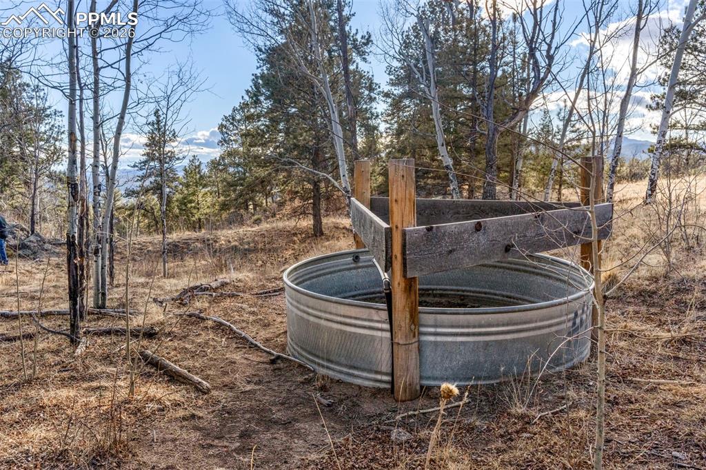 Image 40 of 41: Other