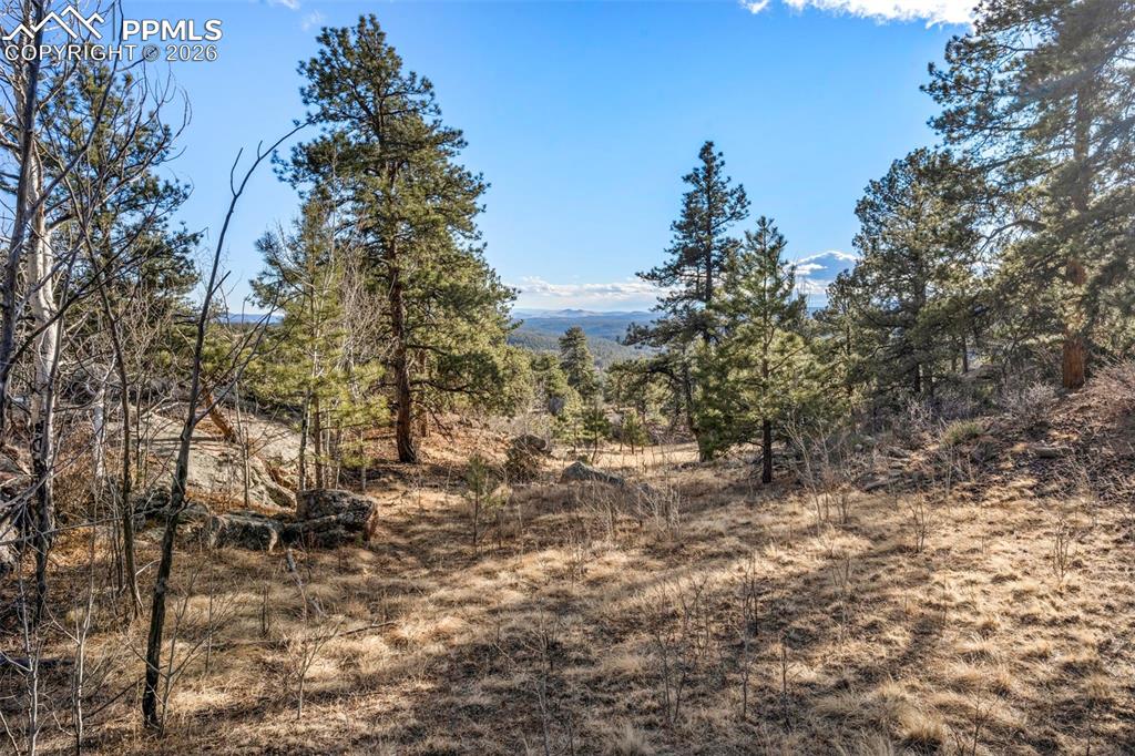 Image 41 of 41: Other