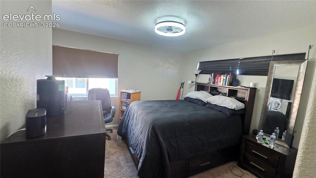 Image 24 of 35: Carpeted bedroom featuring a ceiling-mounted light fixture, dual windows wi
