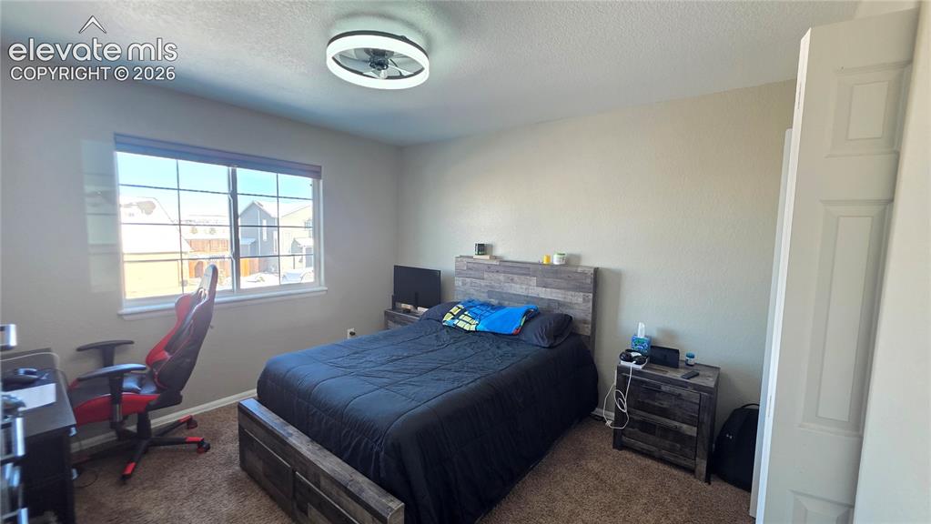 Image 25 of 35: Carpeted room with a multi-pane window and a modern ceiling light fixture