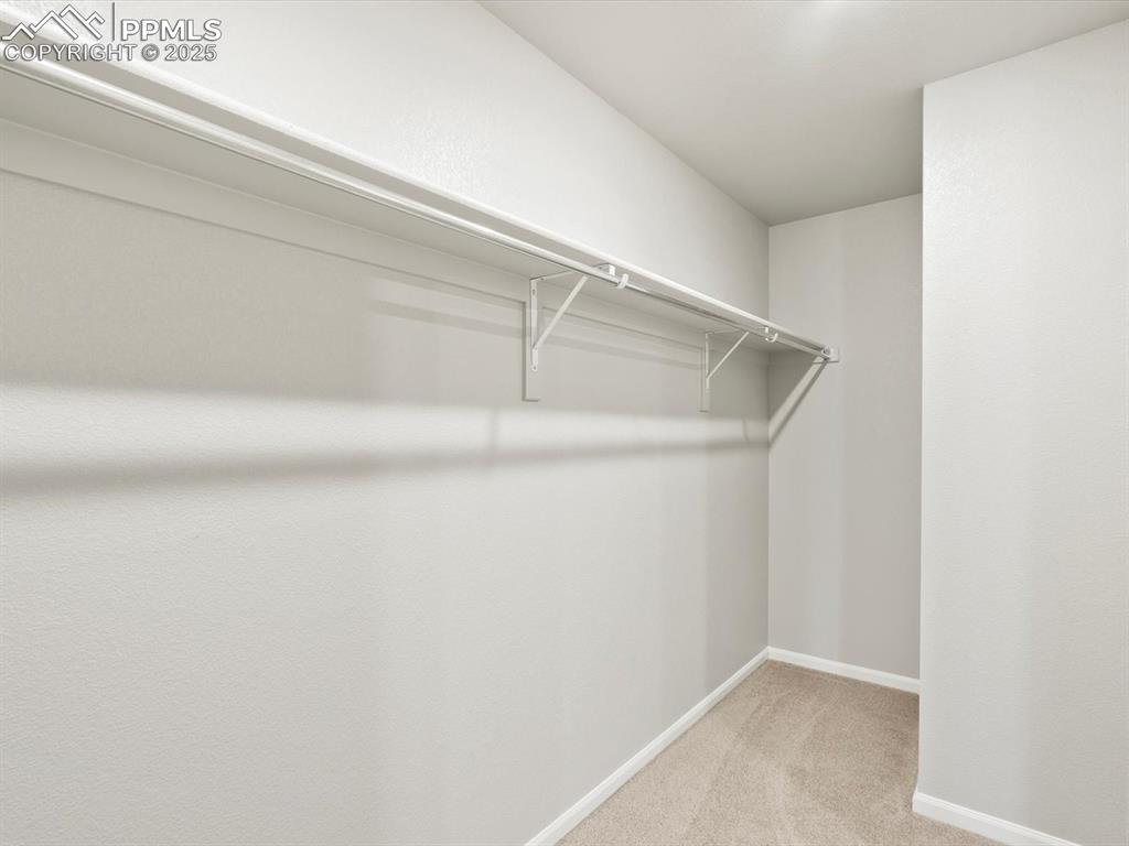 Image 20 of 25: Spacious closet featuring light carpet