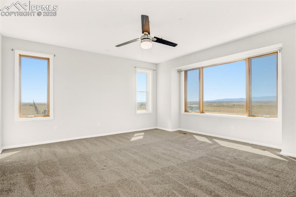 Image 19 of 43: Other