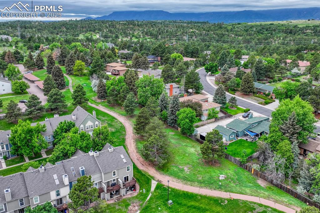 Image 46 of 50: Trail to Palmer Park!