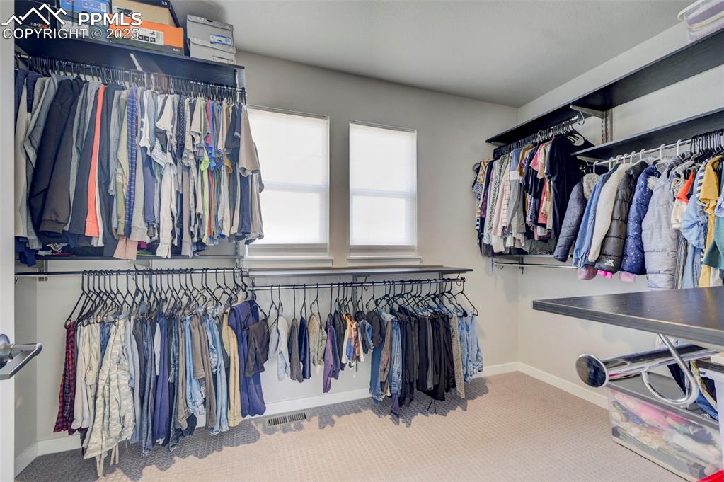 Image 21 of 50: Walk in closet featuring carpet flooring