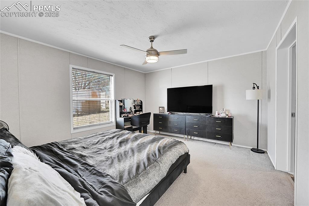 Image 6 of 12: Bedroom with light carpet, crown molding, a ceiling fan, and a textured cei
