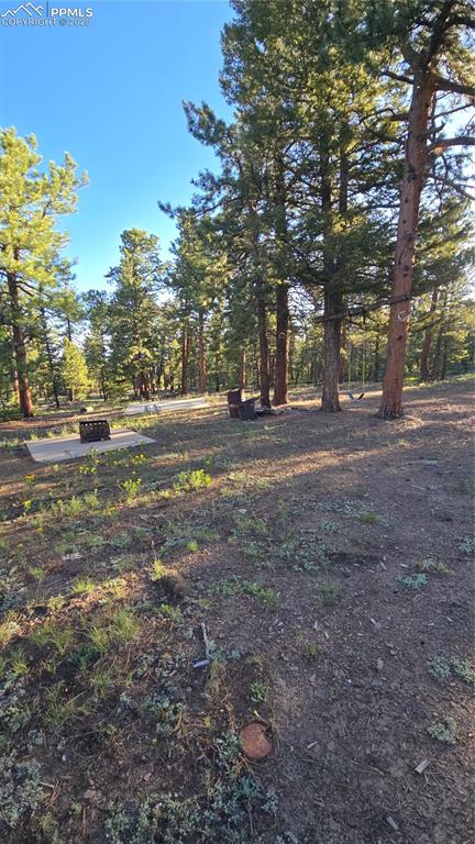 Image 15 of 17: View of yard