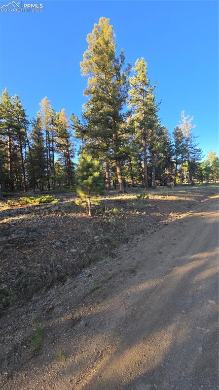 Image 2 of 17: View of street