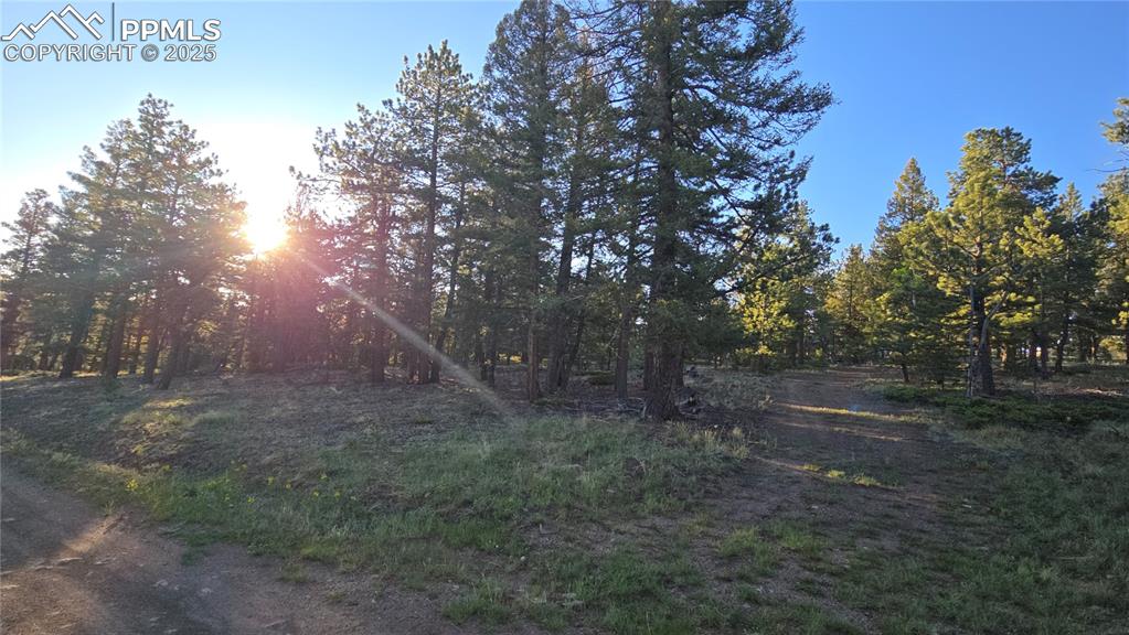 Image 3 of 17: View of yard with a wooded view