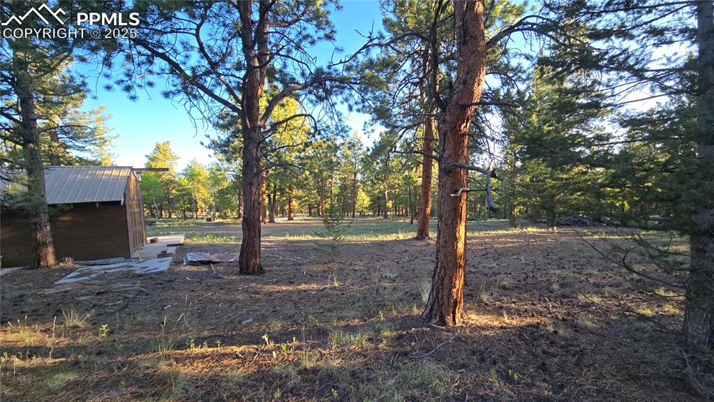Image 5 of 17: View of yard with a storage unit