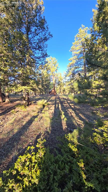 Image 8 of 17: View of yard with a wooded view