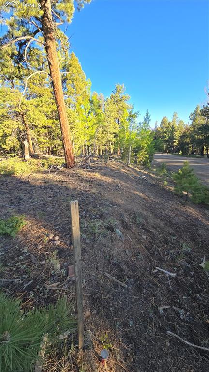 Image 9 of 17: View of yard