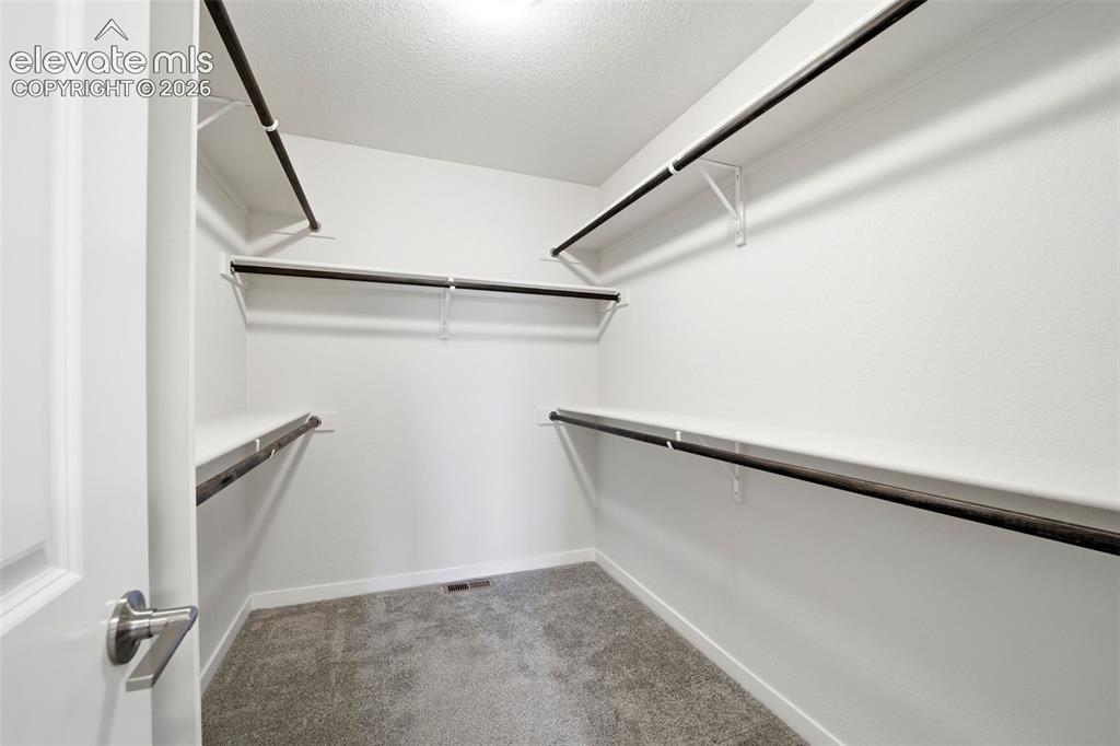 Image 22 of 23: Walk-in closet with carpet flooring, multiple shelving units, and clothing