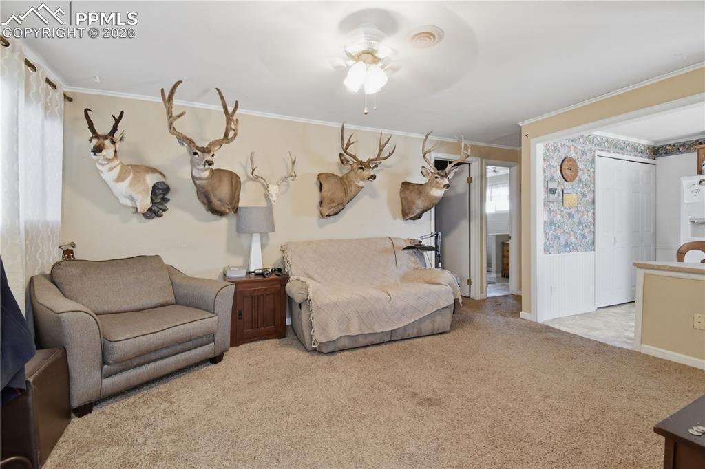 Image 31 of 47: apartment living room