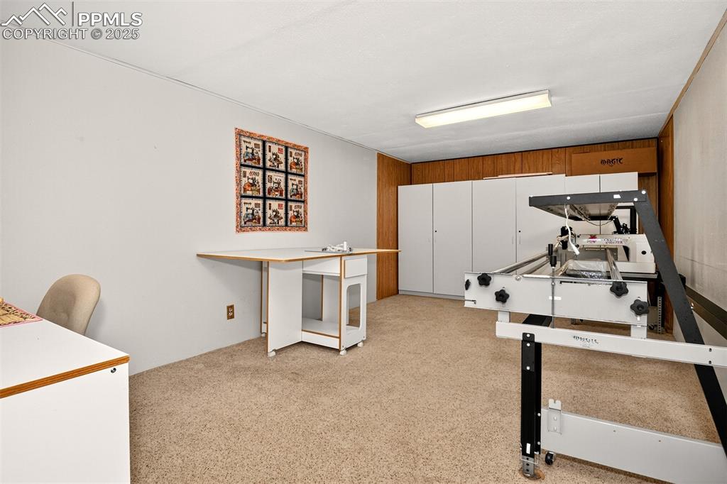 Image 19 of 36: Carpeted and a great space to relax or entertain guest and family
