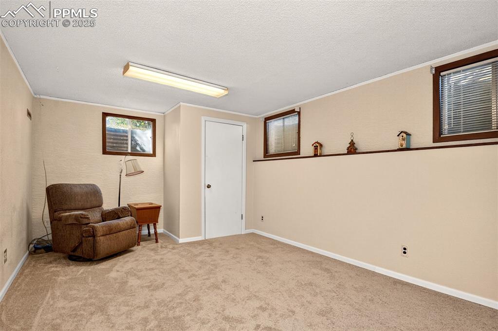 Image 20 of 36: Basement level bedroom with a closet and three window well windows