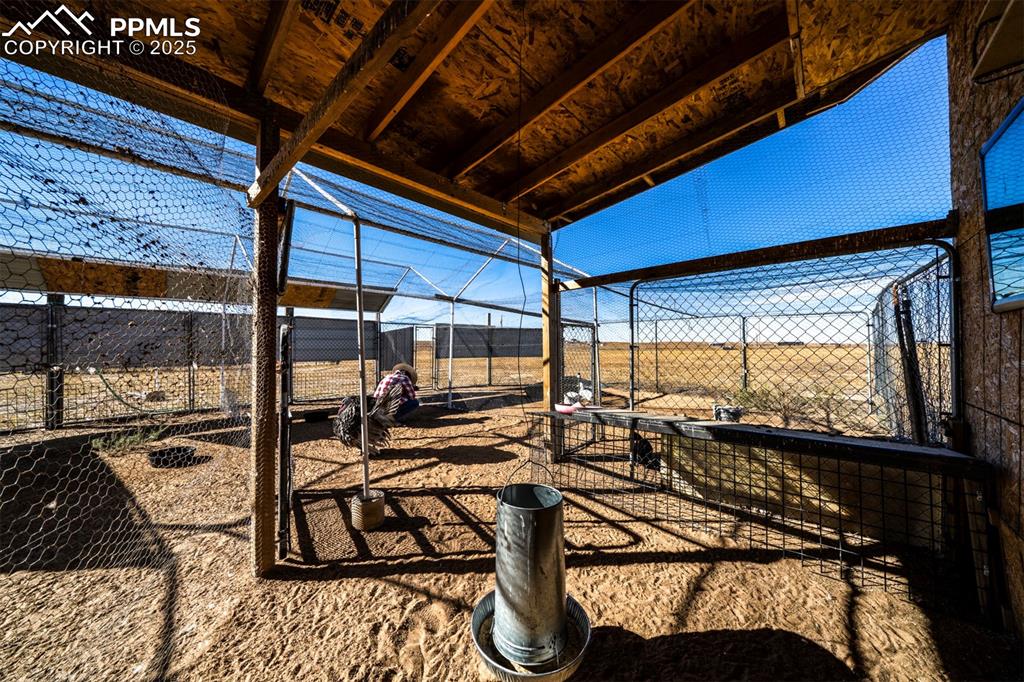 Image 38 of 50: Yard