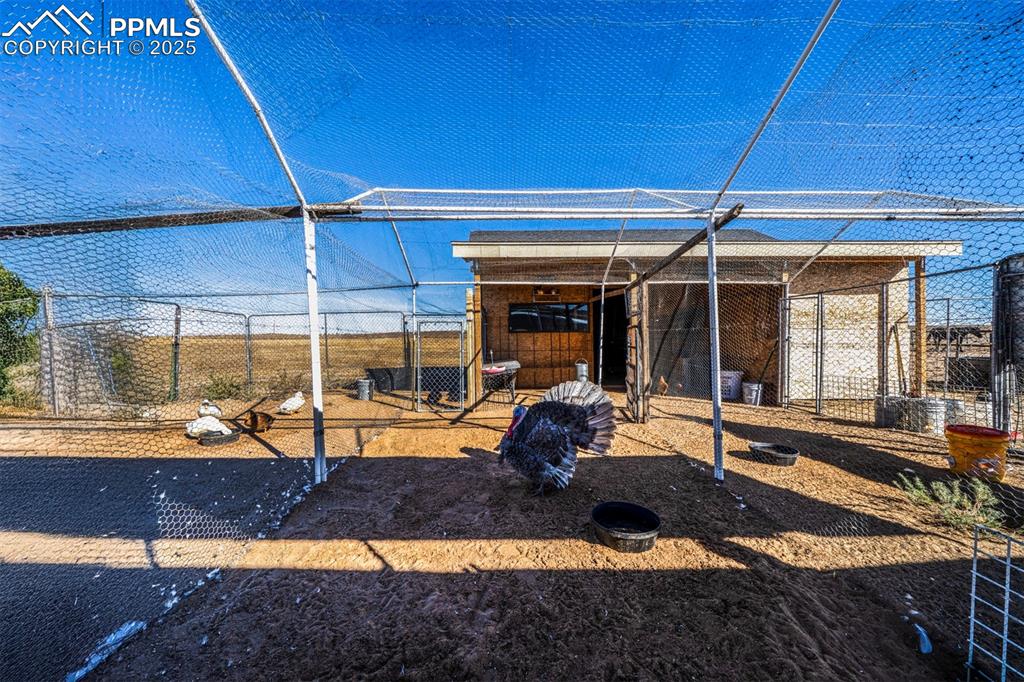 Image 39 of 50: Other