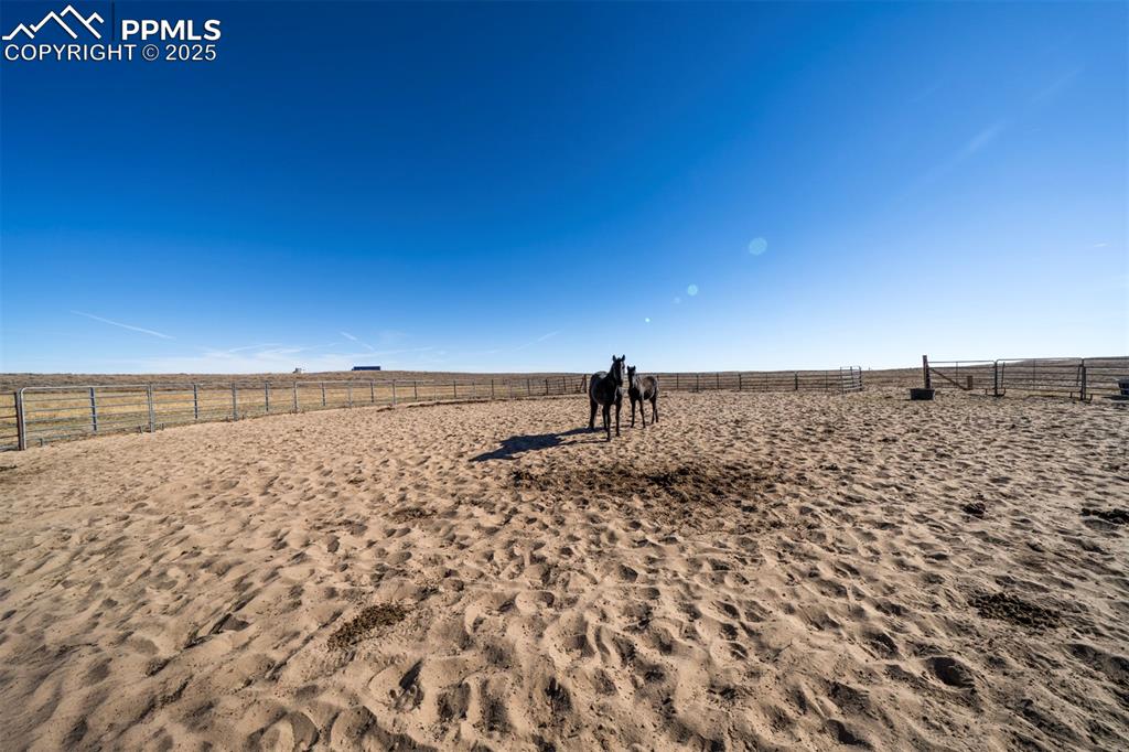 Image 40 of 50: Yard