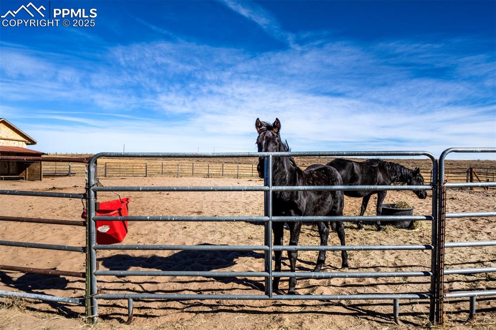 Image 6 of 50: Stable