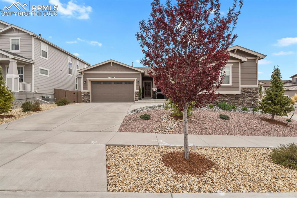 Image 46 of 47: Front of Structure