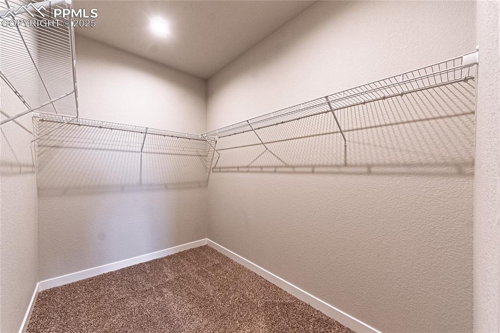 Image 14 of 39: Walk in closet with dark carpet
