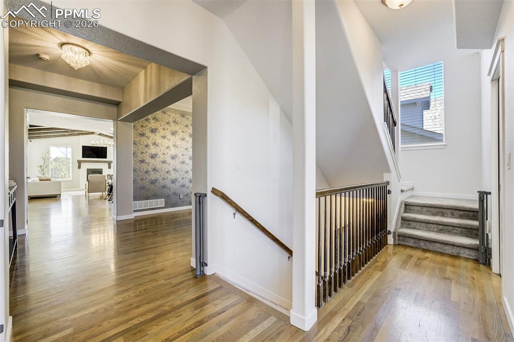 Image 20 of 50: Other