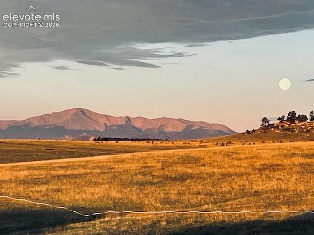 Image 5 of 7: Pure Colorado.