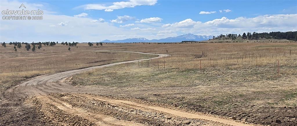 Image 6 of 7: Shared driveway leading to lot.