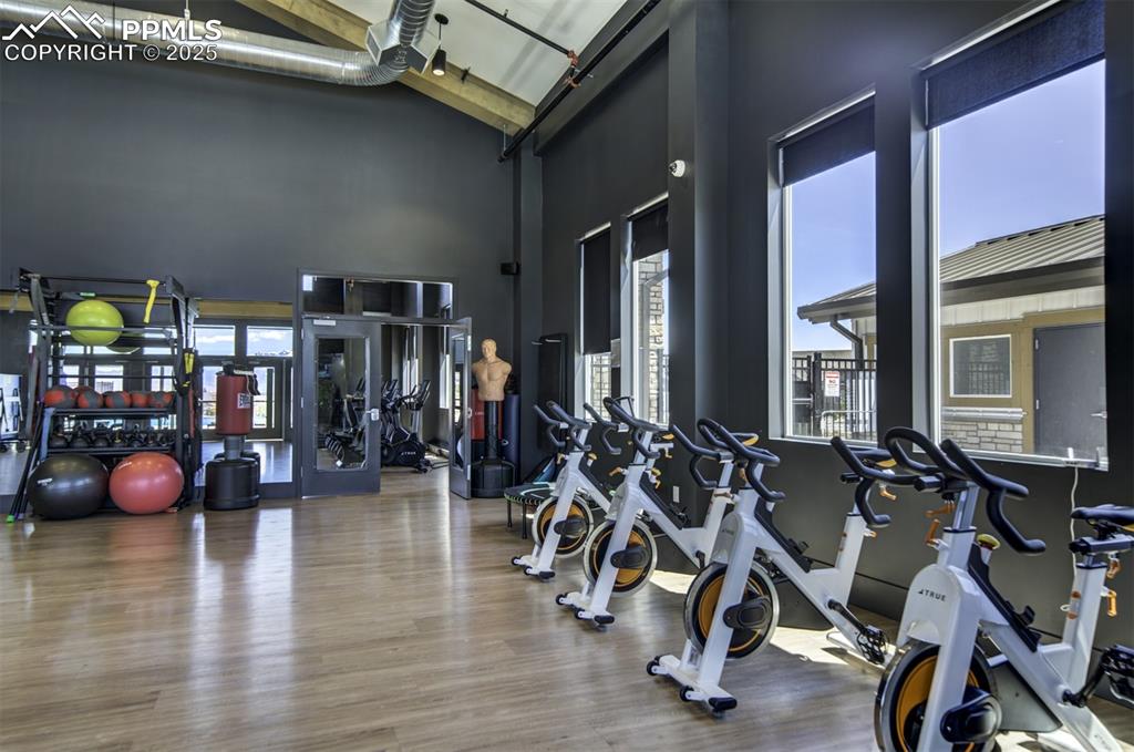 Image 44 of 50: Gym