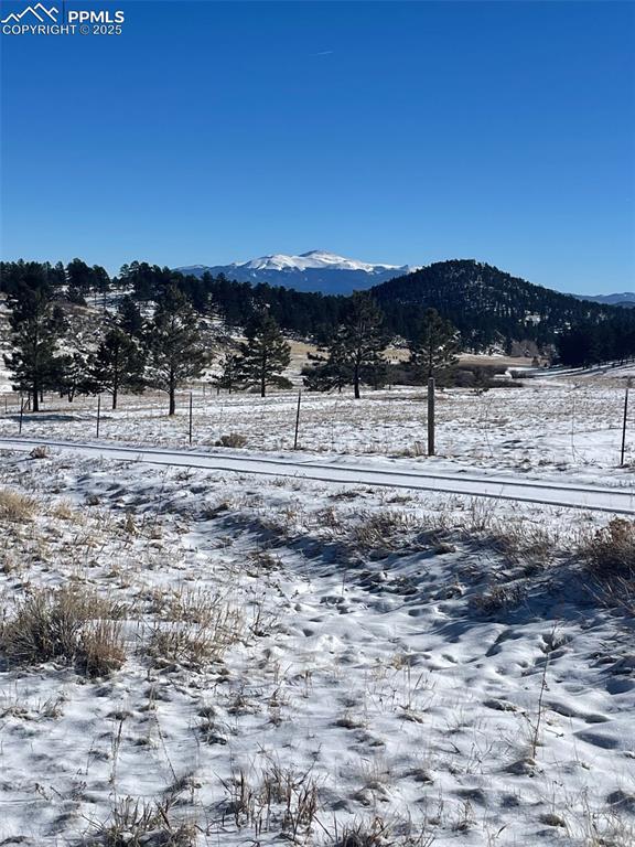 Image 10 of 29: View