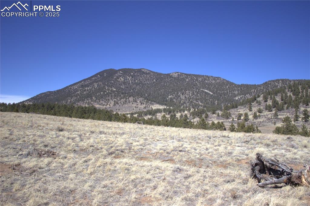 Image 12 of 29: View