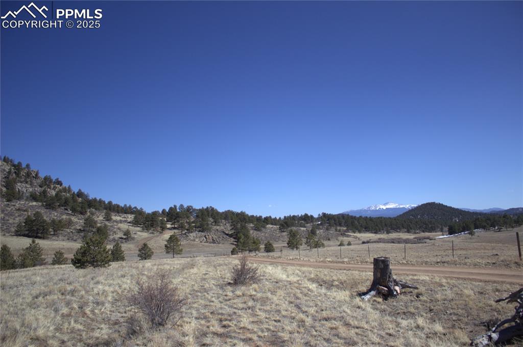 Image 13 of 29: View