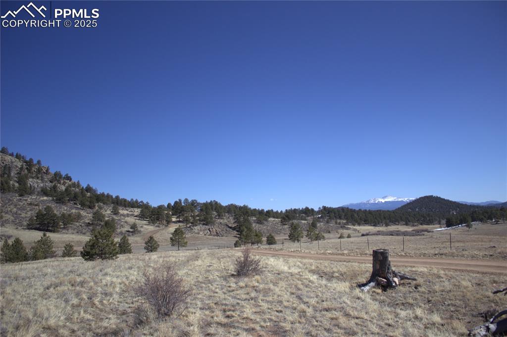 Image 14 of 29: View