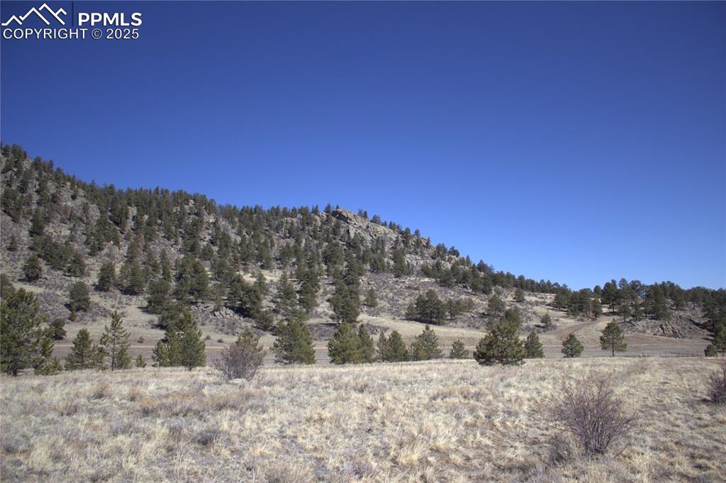 Image 16 of 29: View