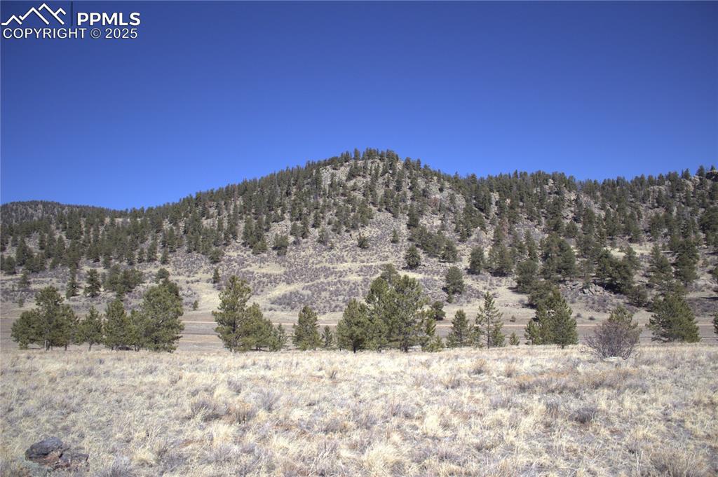 Image 17 of 29: View