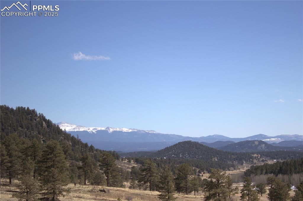 Image 19 of 29: View