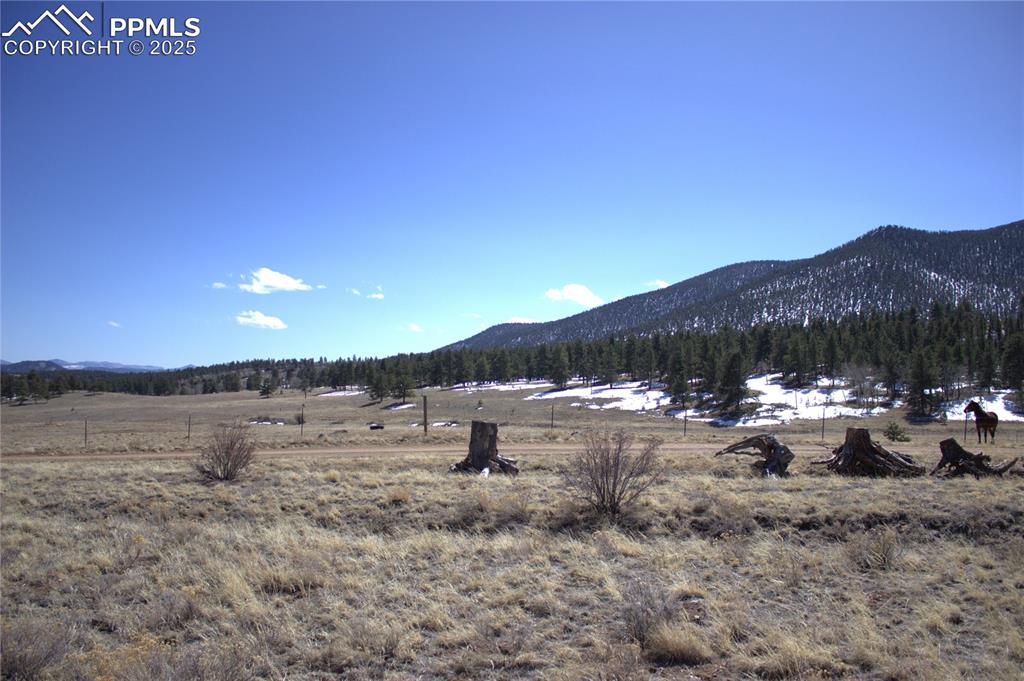 Image 5 of 29: View