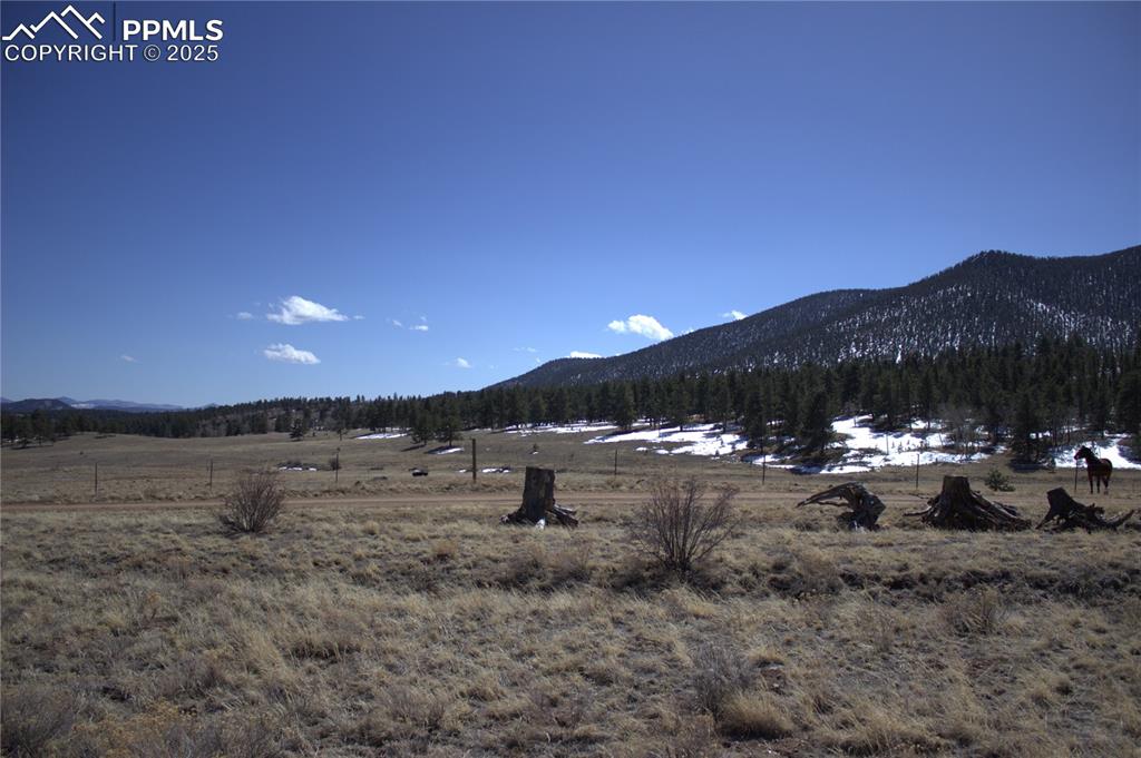 Image 6 of 29: View