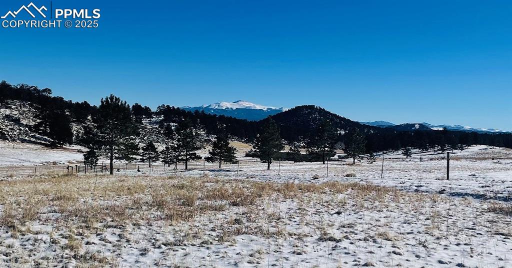 Image 7 of 29: View