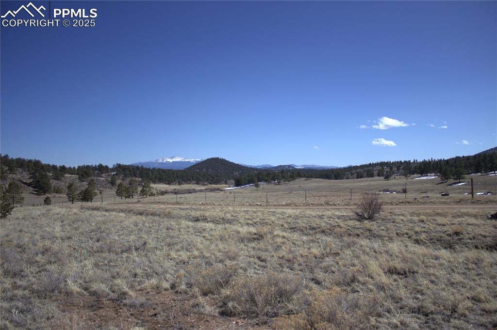 Image 8 of 29: View