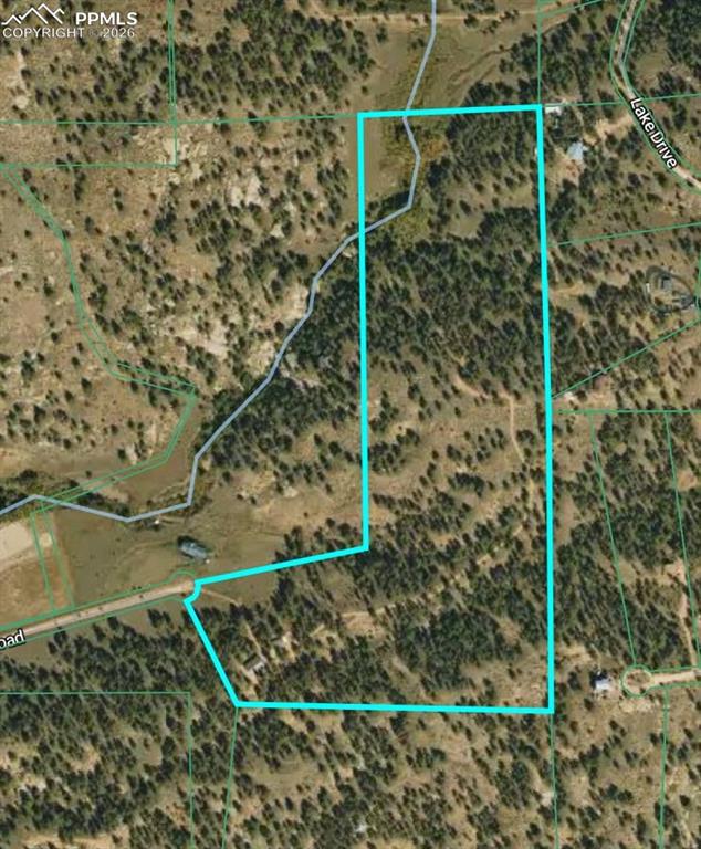 Image 21 of 21: Moderately wooded parcel