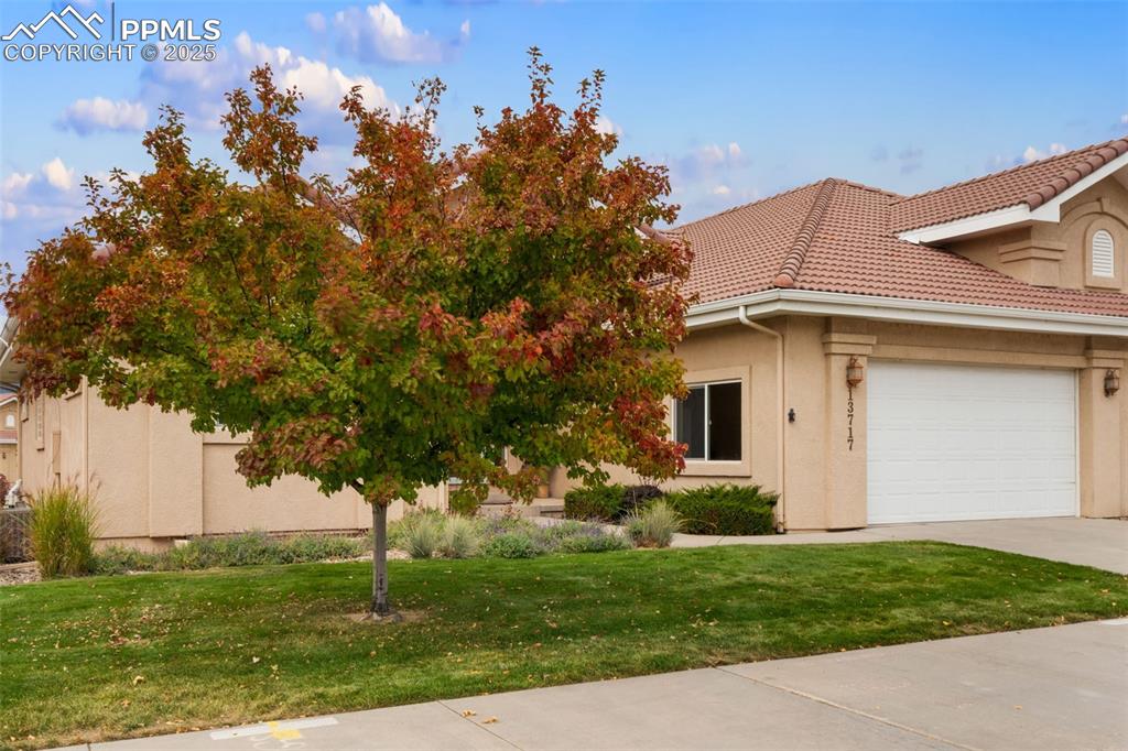 Image 32 of 44: Front of Structure