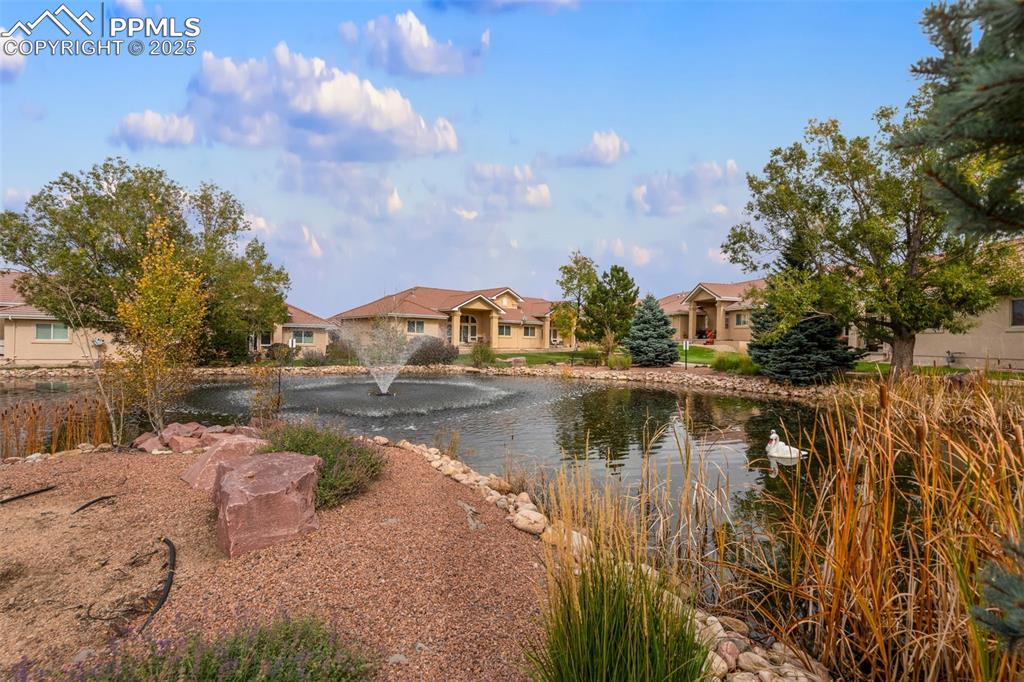 Image 43 of 44: View