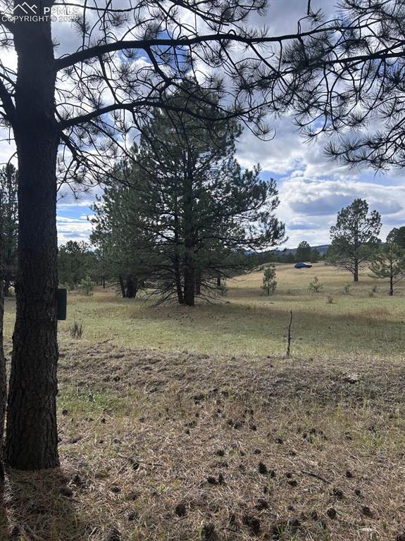 Image 8 of 8: Yard