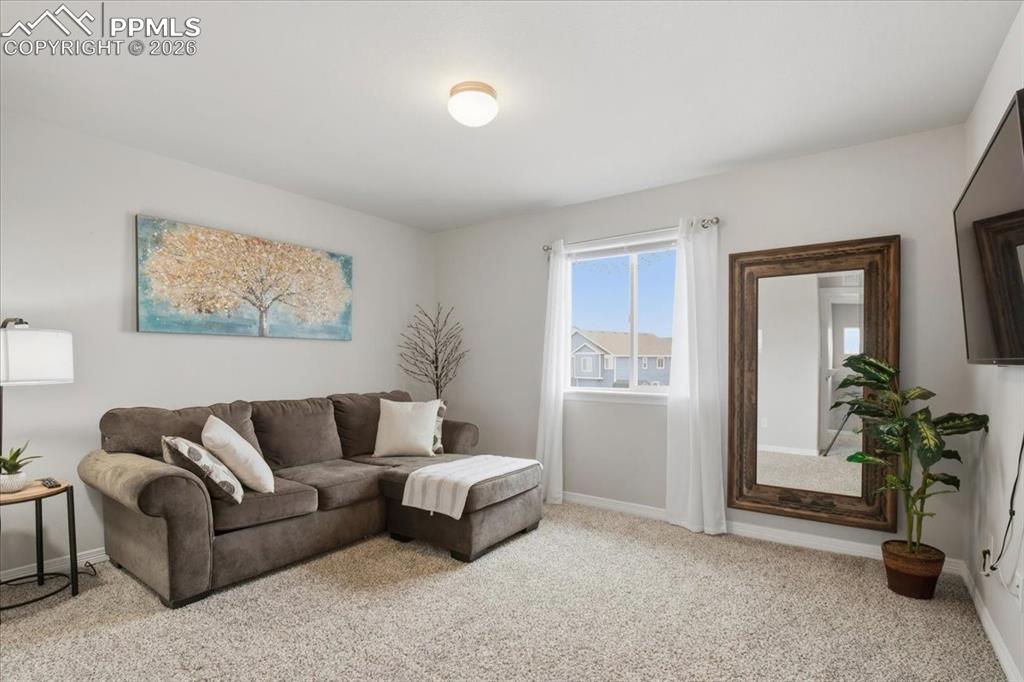 Image 18 of 40: Living room with carpet and baseboards