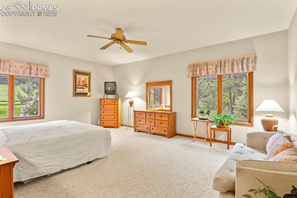 Image 18 of 48: Bedroom with carpet and ceiling fan