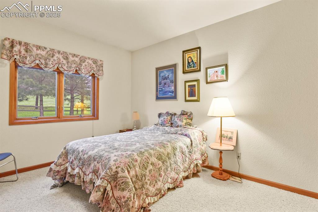 Image 22 of 48: Carpeted bedroom featuring baseboards and a textured wall