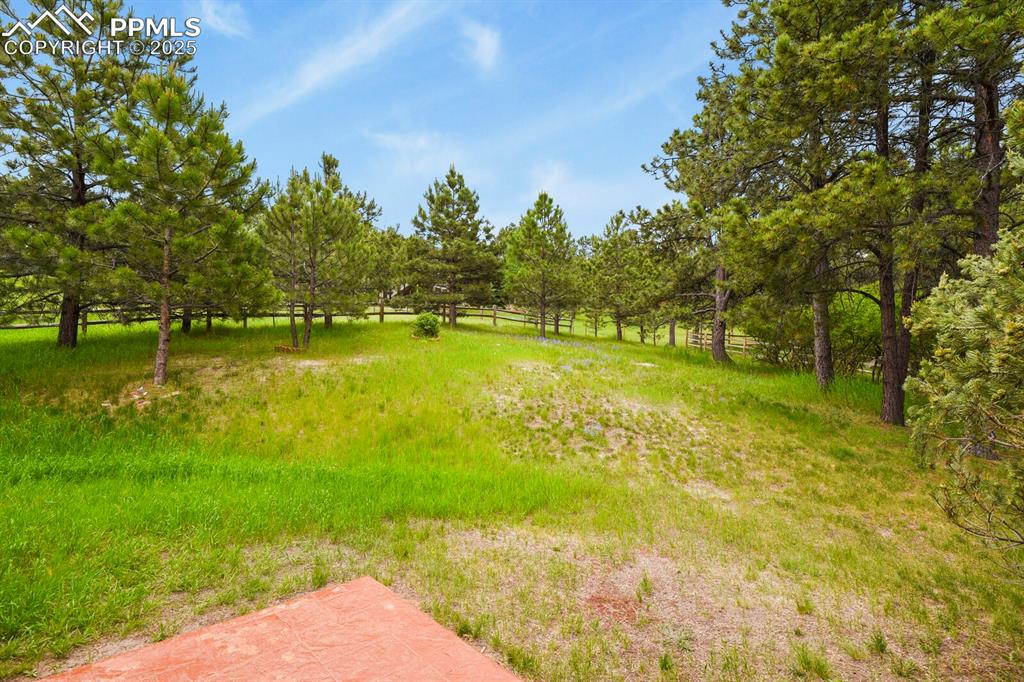 Image 39 of 48: View of yard with view of scattered trees