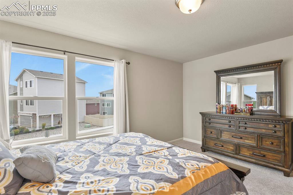 Image 19 of 27: Carpeted bedroom featuring multiple windows