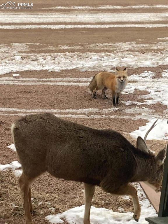 Image 37 of 44: Other